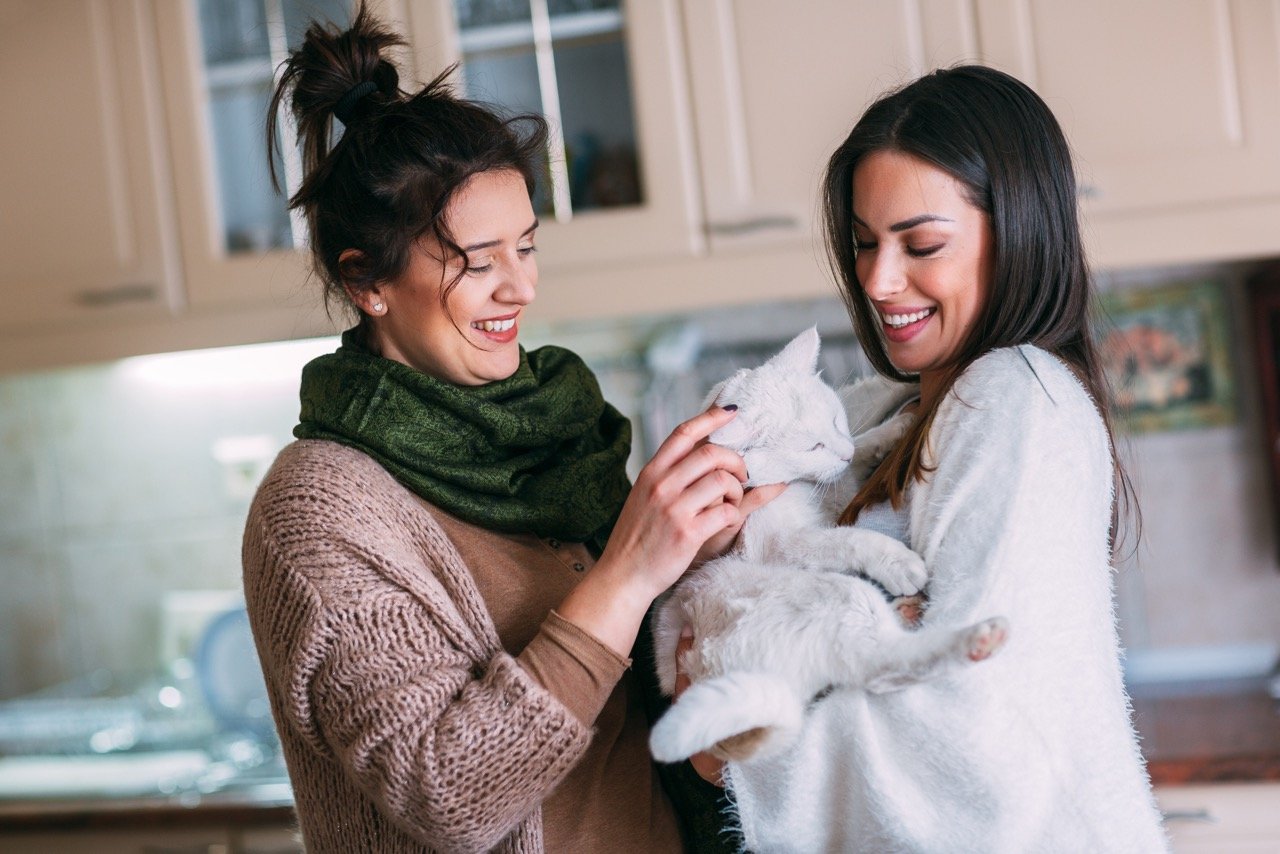 Downsides of Month-to-Month Electricity