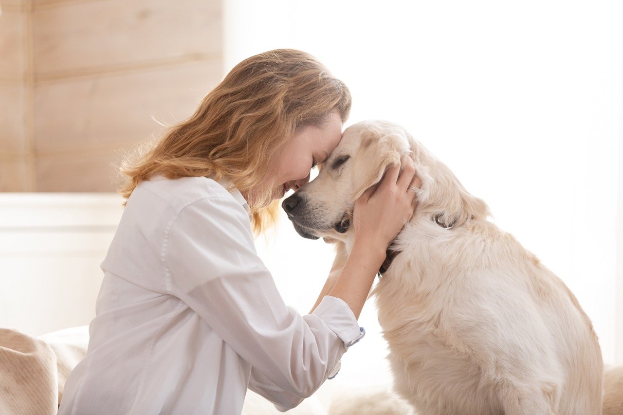 How Does Aging Affect Dogs and Cats_
