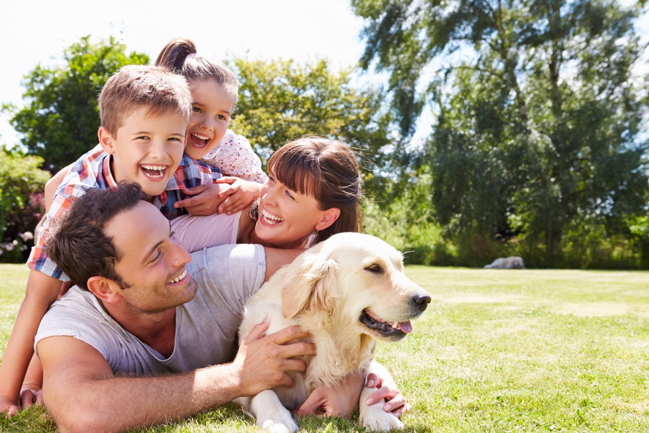 Electricity Plans in Texas: How They Work and How to Choose One