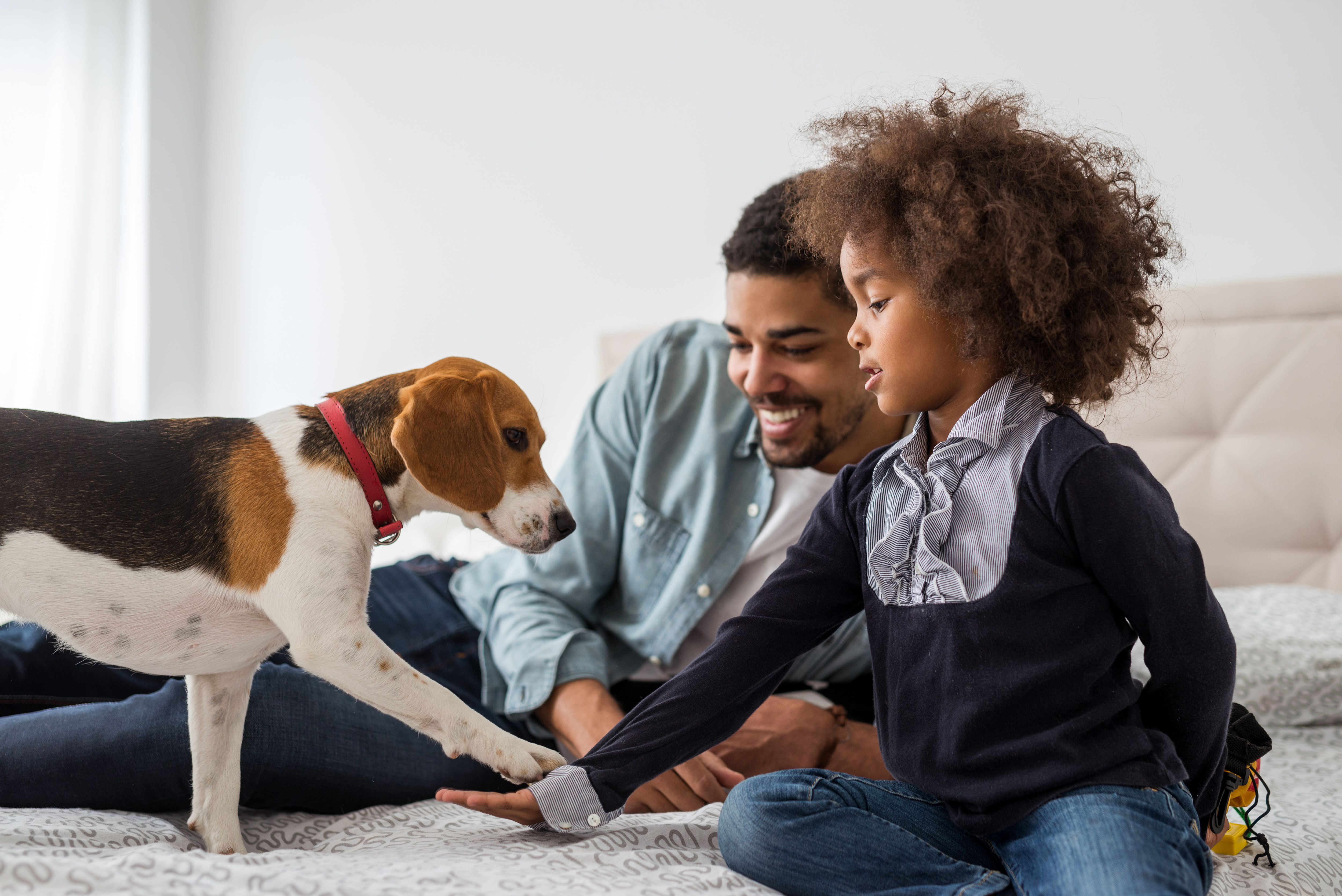 How to pick the best dog names