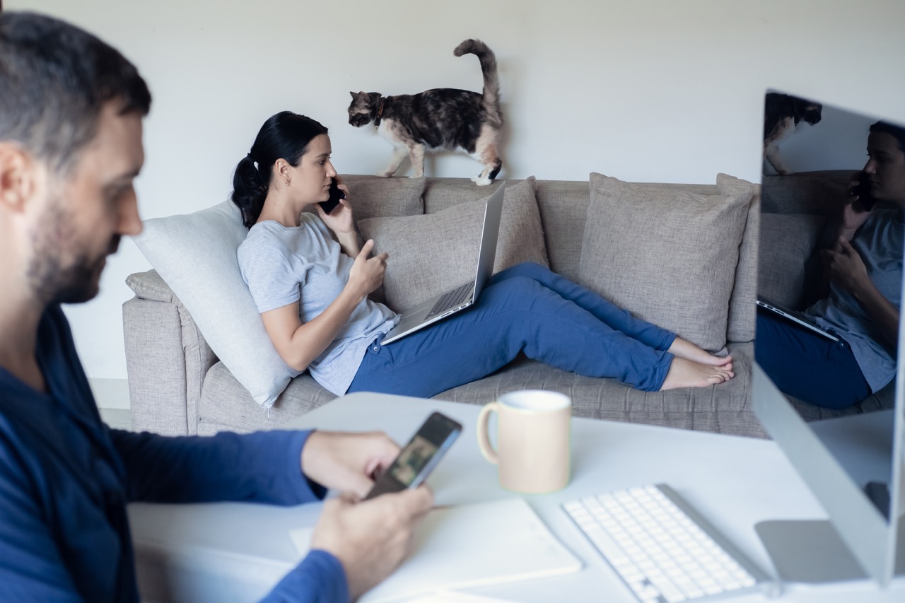 New Cat? How to Build Your Cat's Trust