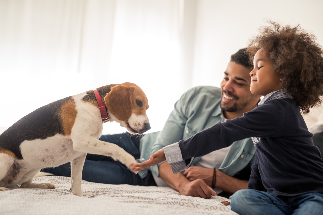 How to Choose the Best Texas Energy Services