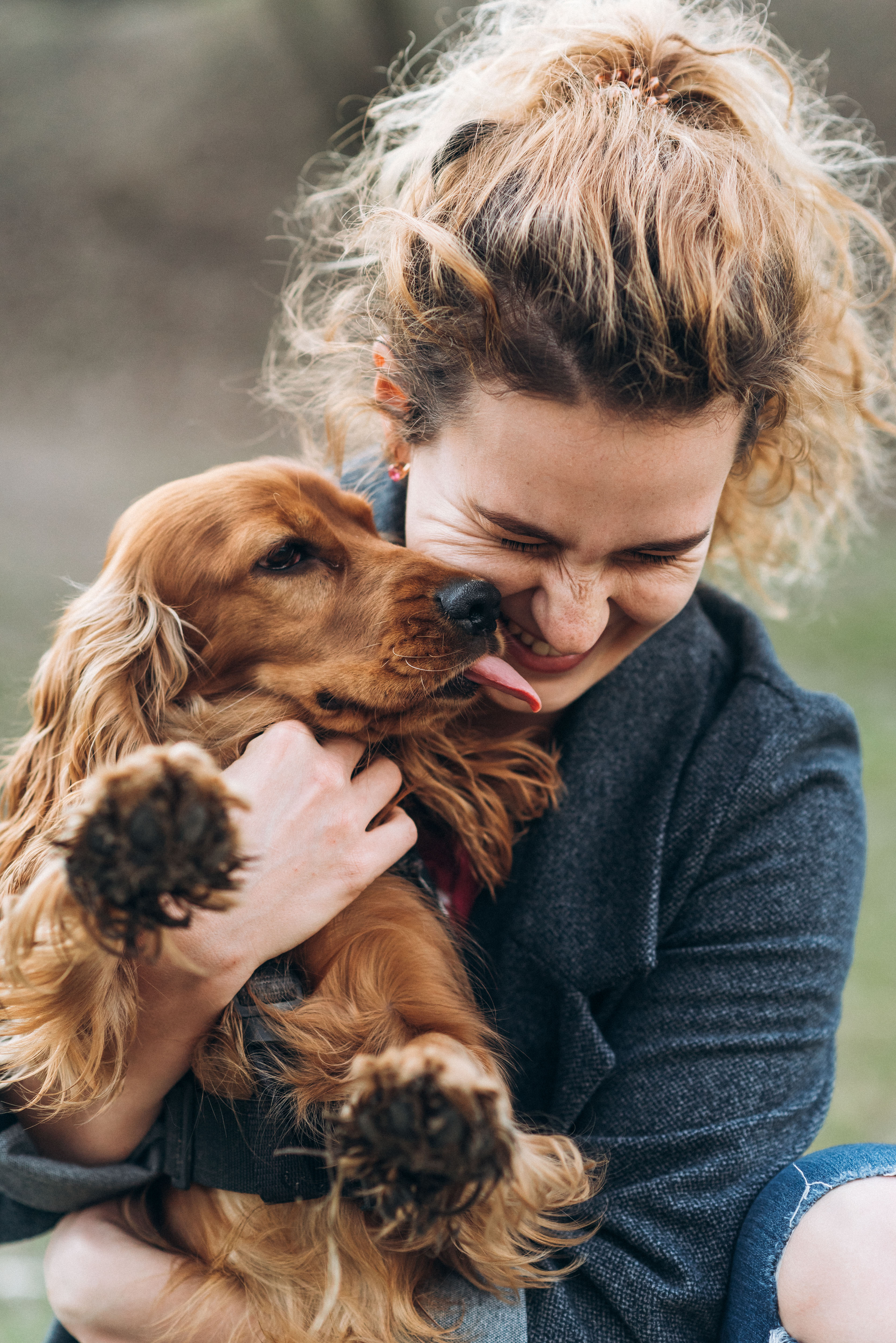 Why Do Dogs Lick You?